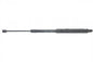 W205 BONNET SHOCK R/S  02.60.569