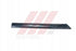 W203 DOOR MOULDING R/R 954