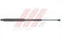 W205 BONNET SHOCK L/S  02.60.568