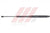 W205 BONNET SHOCK R/S 02.60.569 Generic Attachment