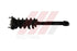 W205 SHOCK FRONT NORMAL  2053208330  2053209230  2053202330