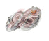 W230 HEADLAMP L/F P/F
